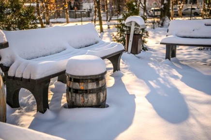 ������ ����, ��������!. 12 ������ ��������� �������� ������ ��� �������