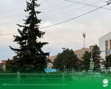 12 ������. ����������� ������� -11�C, �������, ��� �������