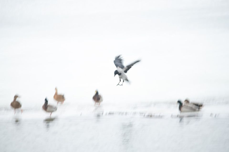 ������ 12 ������. ������� ��������� ������� �������� ������