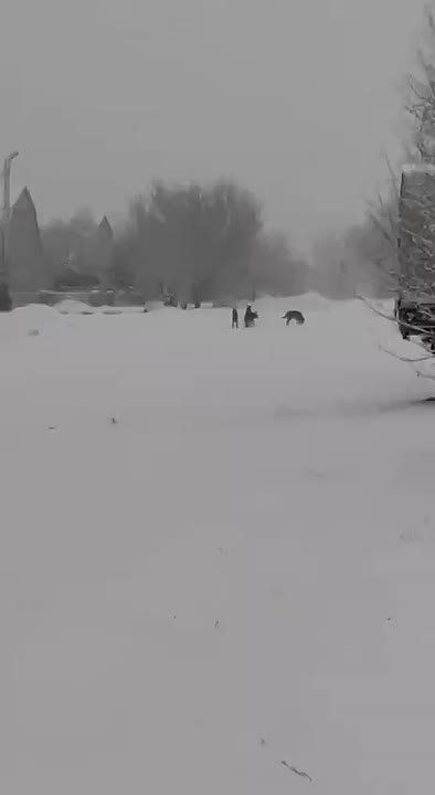 ���� ������ �������� � ��������� �������������� ������