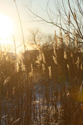 ���������, � ������� ������ ������� ������!