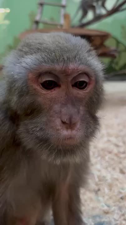 �������� ������� �������� ��� � 2026 ����