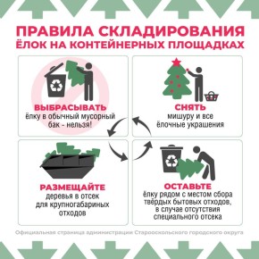 Как правильно утилизировать ель?