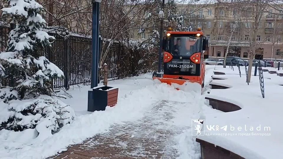 ������ ����� � ���������: �������� �� 14:00