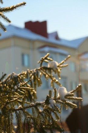 � ������ �����, ���������!