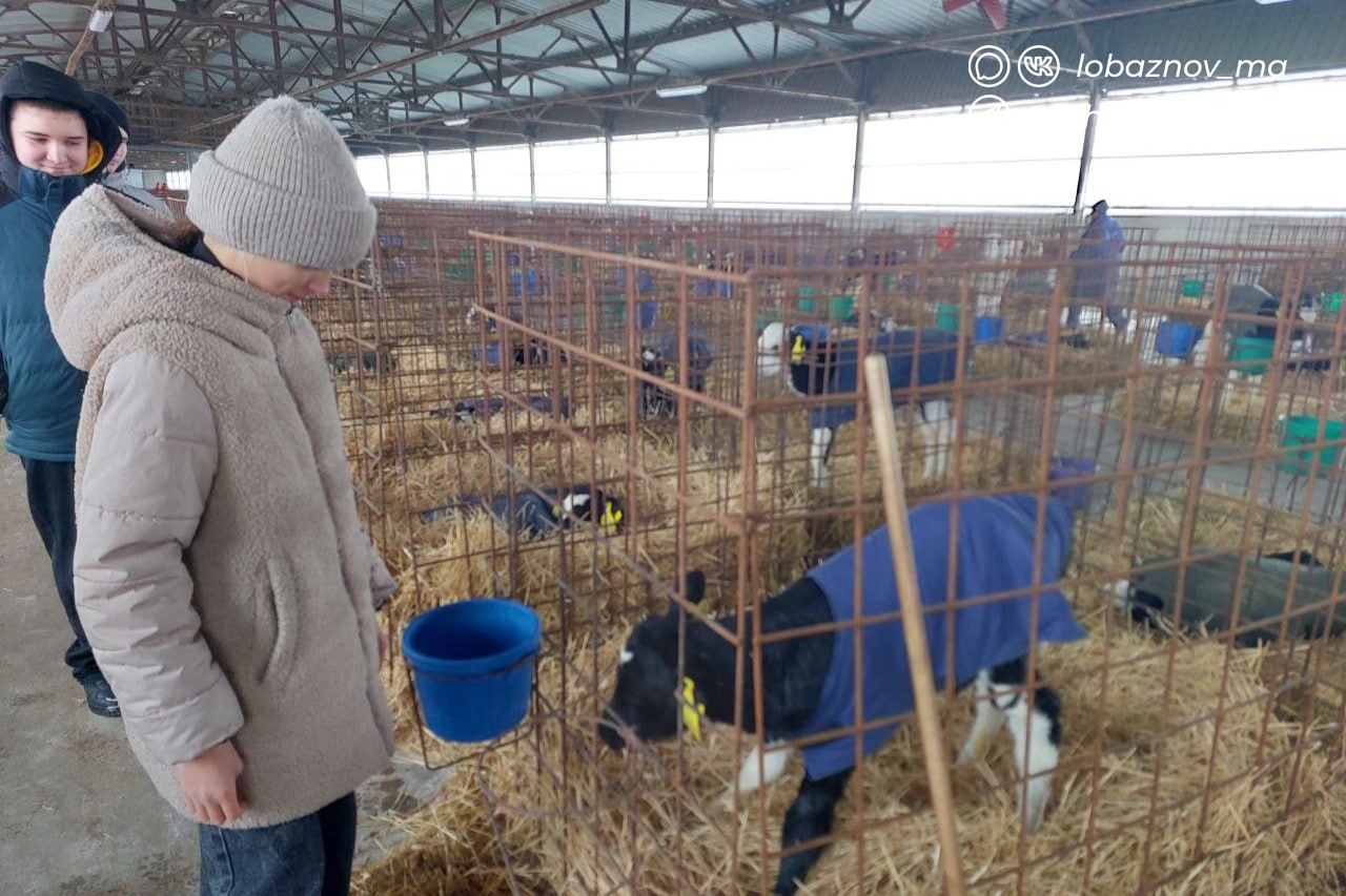 Михаил Лобазнов: В прошлом году Старый Оскол присоединился к проекту «Агротехнологические классы», который инициировал губернатор Вячеслав Владимирович Гладков Михаил Лобазнов: В прошлом году Старый Оскол присоединился к проекту «Агротехнологические классы», который инициировал губернатор Вячеслав Владимирович Гладков