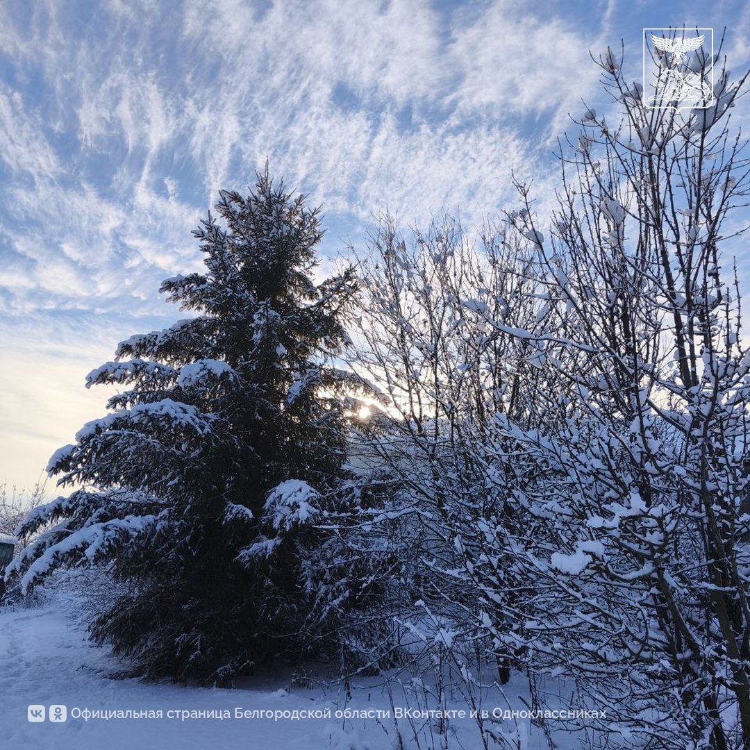 Белгородская зима Белгородская зима