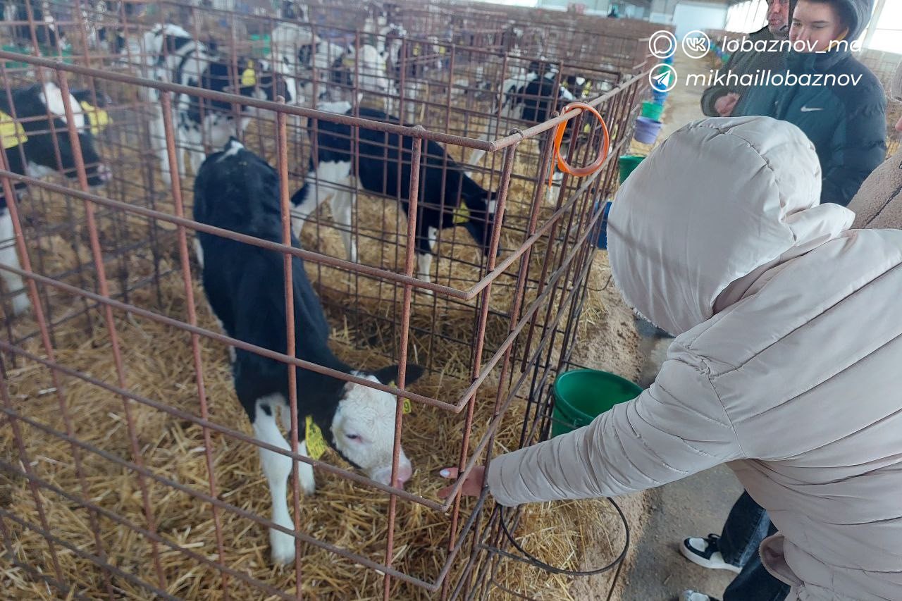 Михаил Лобазнов: В прошлом году Старый Оскол присоединился к проекту «Агротехнологические классы», который инициировал губернатор Вячеслав Владимирович Гладков