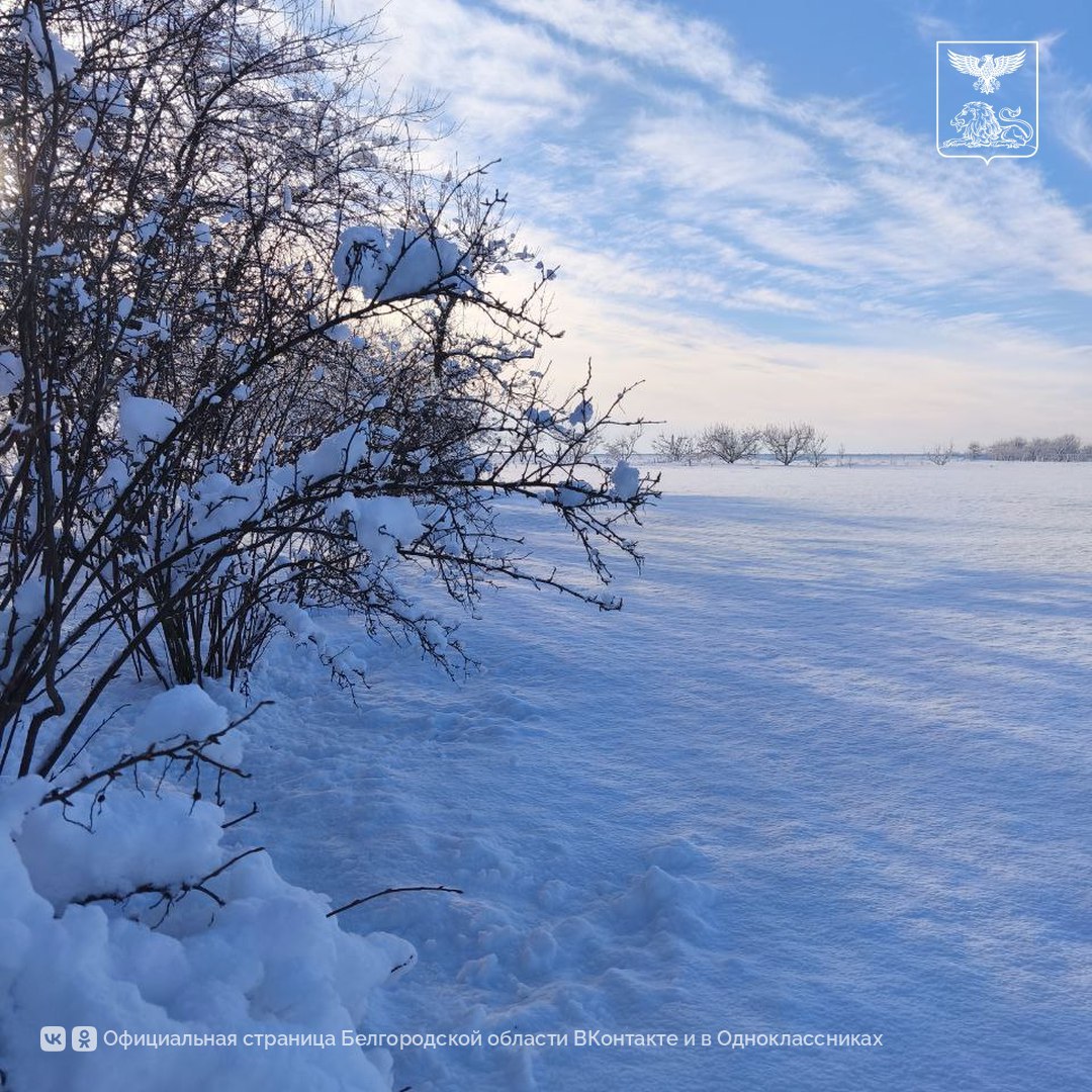 Белгородская зима Белгородская зима