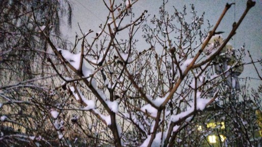 �������, 14 ������, ����� �������� � ������������ ������