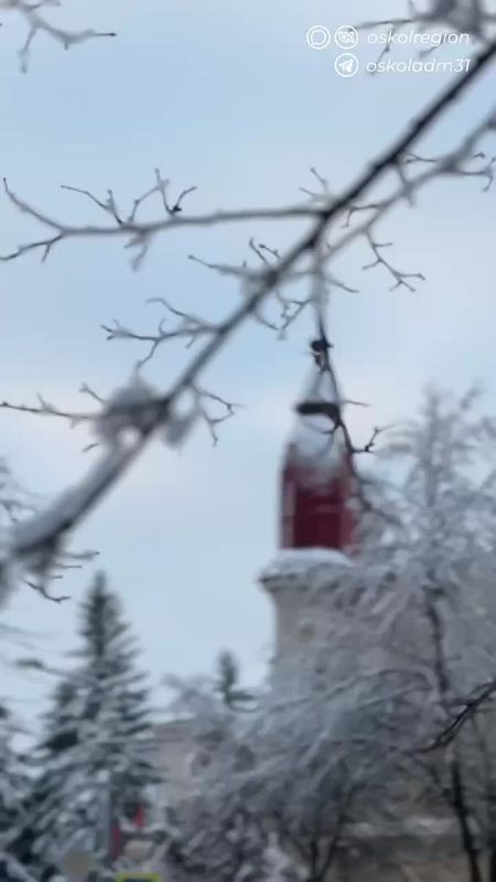 Доброе утро, старооскольцы!