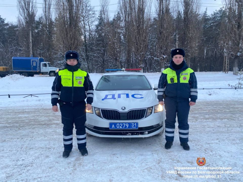 ���������� ������������ ������� ������������� ���������������, ������� ������� ���������� ��������� �� ���� � ��������