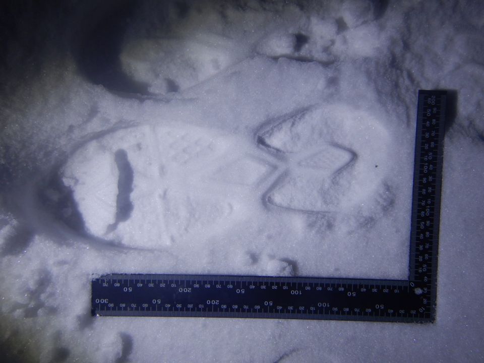 ����������� �� ����� ����� ������� ������������ ����������� � ��������������