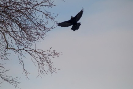 ������ 16 ������. ������� ��������� ������� �������� � ������������ ������ � ��������� ����