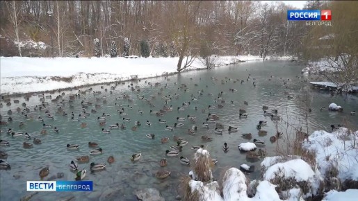 ����� ��������� ������������ ��������� ��������� ������