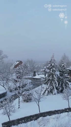 ������ ����, �������������!