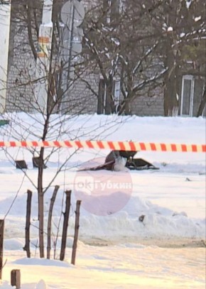 ����������� ���� � ������� �������� �� �����������, �������� ��������