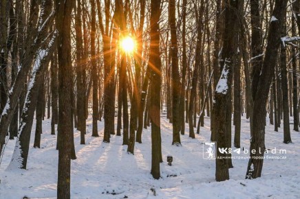 ������ ����!. ������� �����������, ��� �������