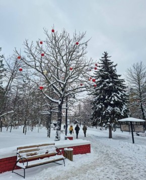 ������ ����, ��������!. ������� ������ �� ���������