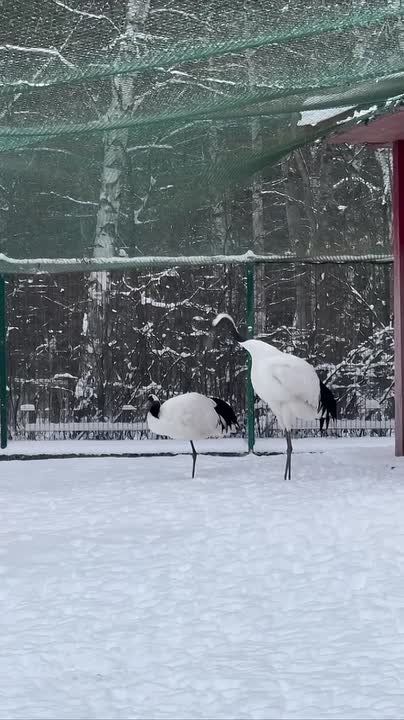 �������� � �������� �����!