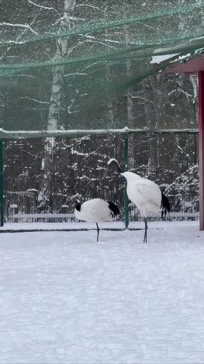 �������� � �������� �����!