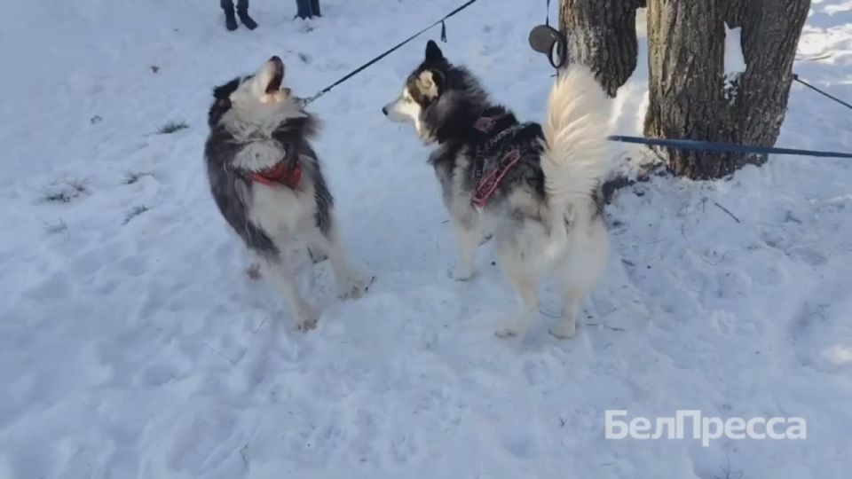 ������� � ����������� ����� ��������� ������ ������������ ������-Trail�