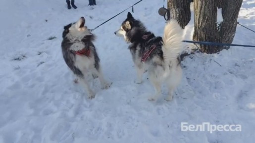 ������� � ����������� ����� ��������� ������ ������������ ������-Trail�