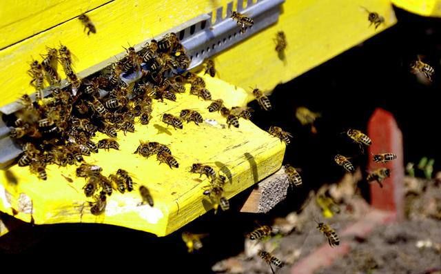 � ������������ ������� ������� ����� 3 000 ���� ���