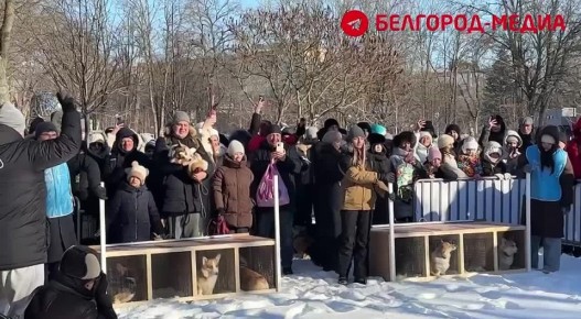 ���������: ������� ����. � ��������� ������� ��������� �������� ����� ������-Trail�