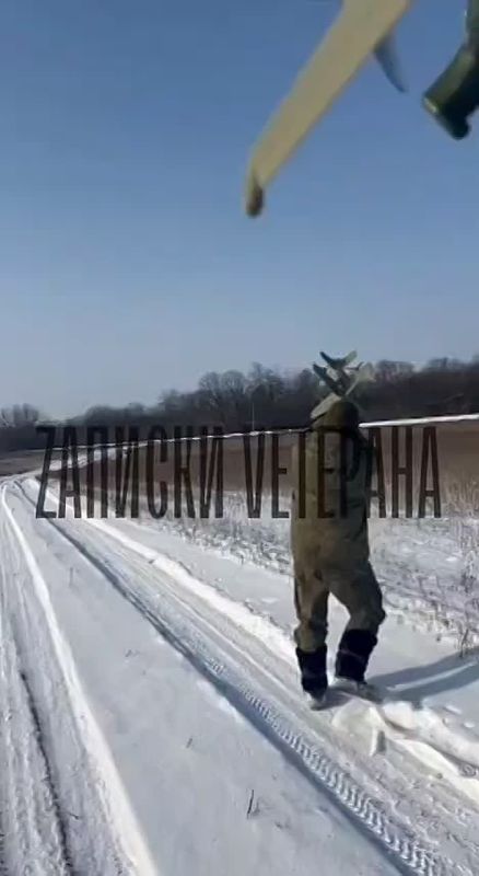 ������� ��������: ������������ �������.. ������ �� ���������� ����� "�����"