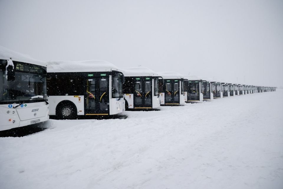 ���������� ��������� ������������ �����������: ����� �� 2026 ���