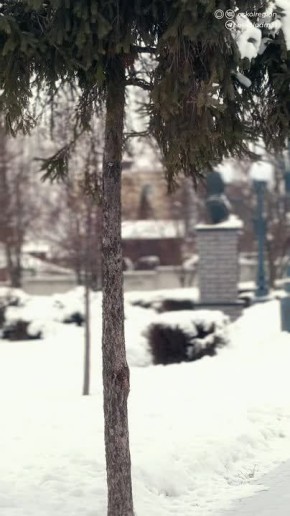 � ������ �����, ������� �����!