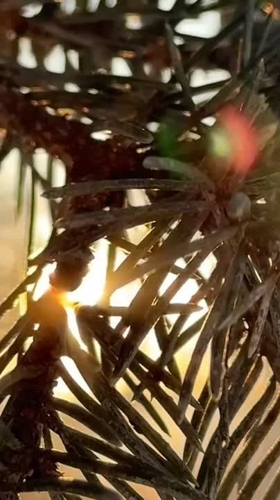 Учёные и врачи считают, что гулять на морозе полезно для здоровья