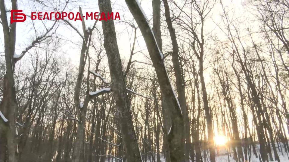 ���� � ����� ��� ������� �����