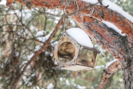 �������, 21 ������, ����� ������� � ������������