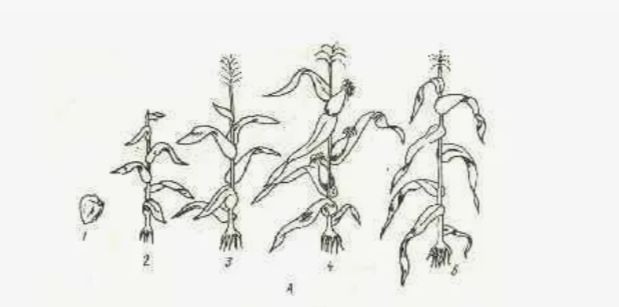 �� ������ �� ������: ����� ���������� ��������