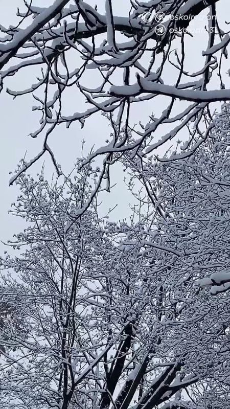 Доброе утро, старооскольцы!