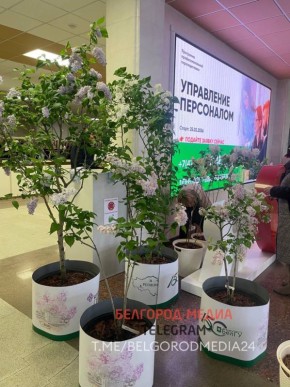 � ���������� ��� �������� � ��� �����ӻ �������� ������������ ������