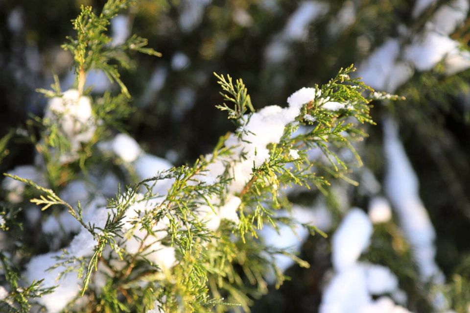 ������ �������� �������� �������� ��� ������� � ����� ����� ���������� ������� ����