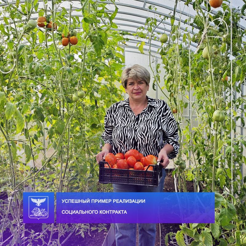 Николай Нестеров: Жители Корочанского муниципального округа активно пользуются государственной мерой поддержки на основании заключения социального контракта Николай Нестеров: Жители Корочанского муниципального округа активно пользуются государственной мерой поддержки на основании заключения социального контракта