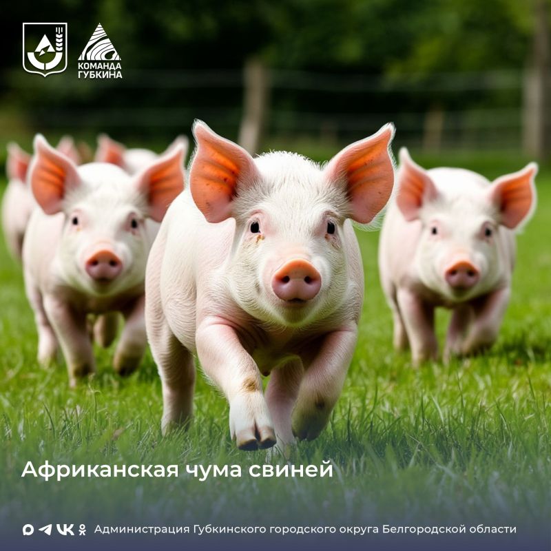 ���������� ��������� ��������� �����������