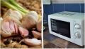 Легкость в каждой зубчике: очистка чеснока за 20 секунд