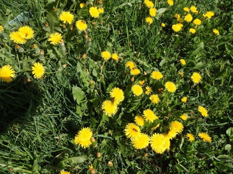 ��������, ������� ��������� ������� � ����� ���� � �������