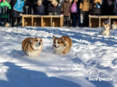 ������ ����, ��������!. ������� ����� ������� 10-��������� �����