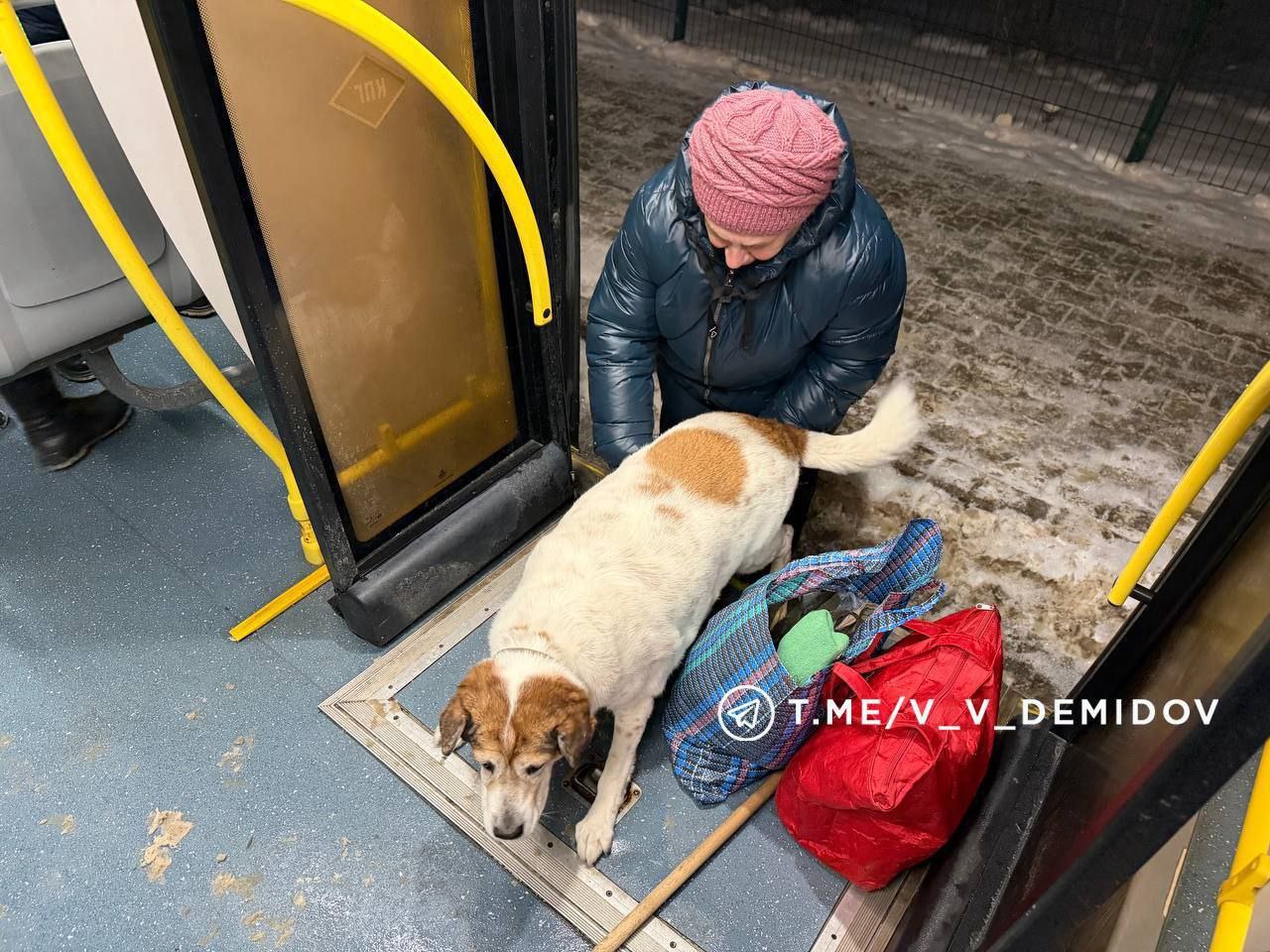Жители Белгорода, которые временно покинули дома из-за ЧП на Губкина, могут возвращаться Жители Белгорода, которые временно покинули дома из-за ЧП на Губкина, могут возвращаться