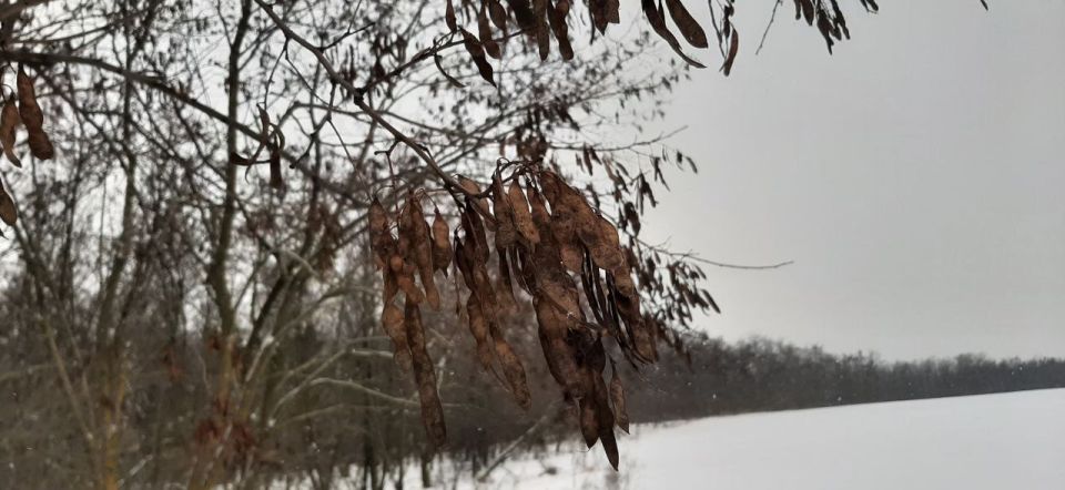 �� ���������� ������������ �������������� ������ ���������� ������ �� ������������������