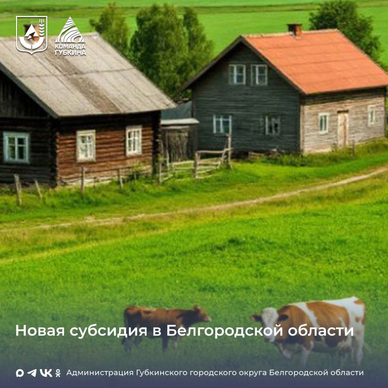 ������������ ��������� ��������� �� ������������ �������� ����� ���� ��������� ��������� ������� � 2026 ����