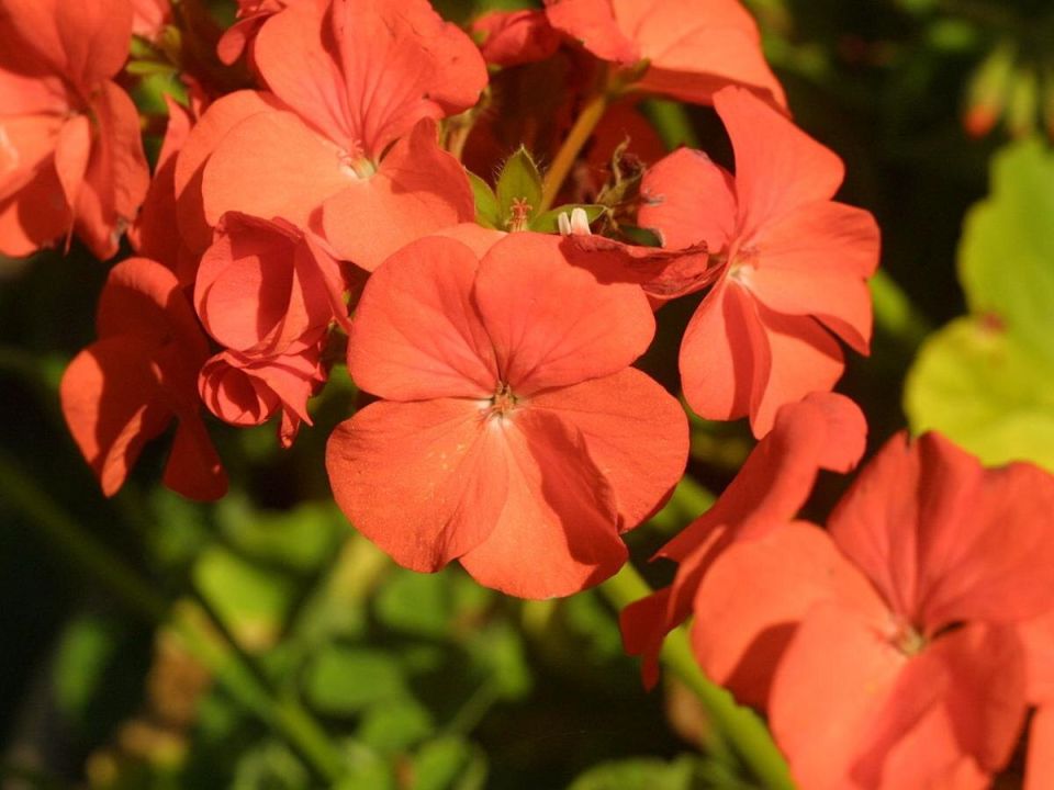 �� ������������ ������: ��� ������� � ����� ������������ ��������