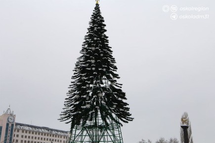 � ������ ������ ������� ���������� ���������