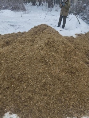 ���� ��������: ���������� ��� ������� ������������ ��������� �� ���������� ����������� ����������������� ������� "�����������" �������